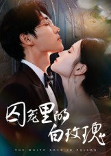 囚笼里的白玫瑰（59集）喜欢追剧的看过来