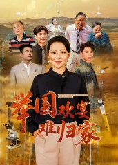 举国欢宴难归家（40集）短剧终极大结局合集