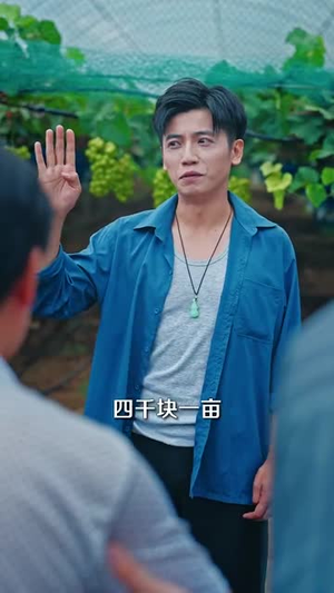 九阳仙医我的葫芦能生财（80集）今日热门短剧推荐