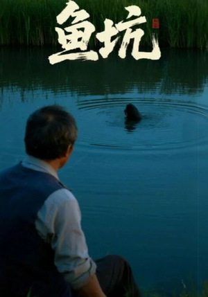 鱼坑（30集）好看的短剧一定要分享