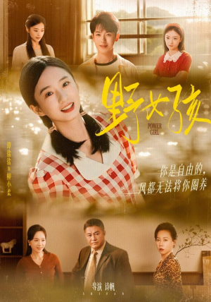 野女孩（91集）精彩短剧在线观看