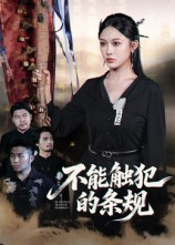 不能触犯的条规（50集）推荐热门短剧下集更精彩