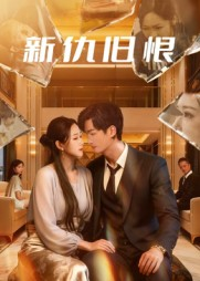 新仇旧恨（51集）我是土狗我爱看推荐