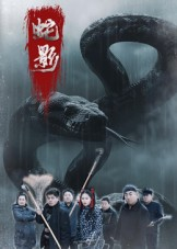 蛇影（25集）终于找到这部短剧了