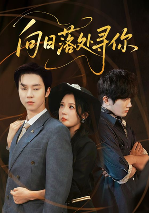 向日落处寻你（70集）热门短剧电影推荐