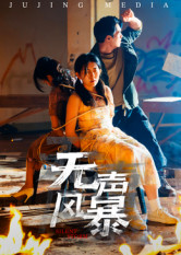 无声风暴（33集）一口气看到热门短剧大结局