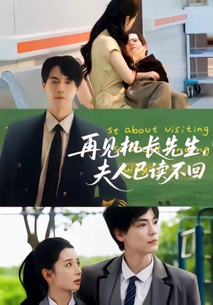 再见机长先生夫人已读不回（62集）全集免费观看的短剧资源