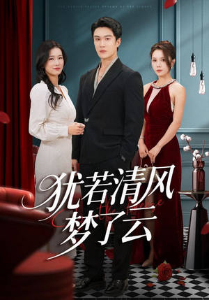 犹若清风梦了云（66集）海量资源短剧免费看