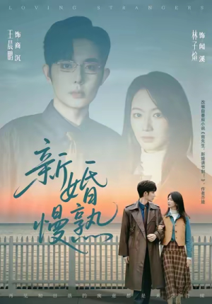 新婚慢熟（105集）好看的短剧电视剧