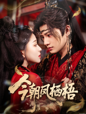 今朝凤栖梧（68集）在线免费看全集短剧