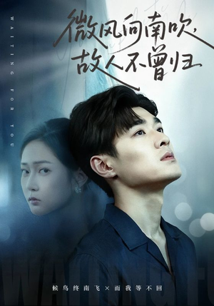 微风向南吹，故人不曾归（72集）短剧推荐超甜网剧