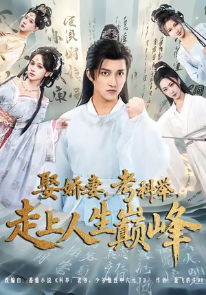 娶娇妻，考科举，走上人生巅峰（80集）短剧越看越精彩越看越上头