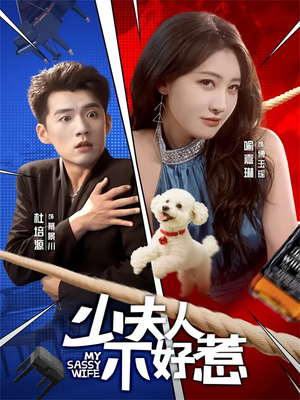 少夫人不好惹（61集）全集免费看热门短剧推荐