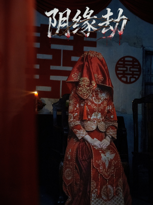 阴缘劫（25集）排行榜前十短剧免费观看网站