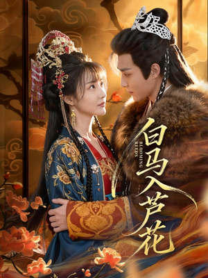 白马入芦花（59集）免费的短剧资源汇总