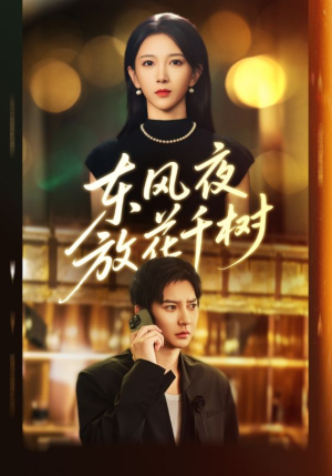 东风夜放花千树（91集）好看剧情短剧推荐分享