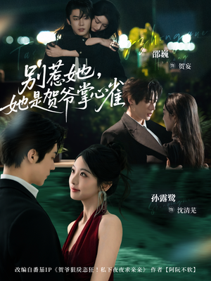 别惹她，她是贺爷掌心雀（69集）在线观看短剧完整版