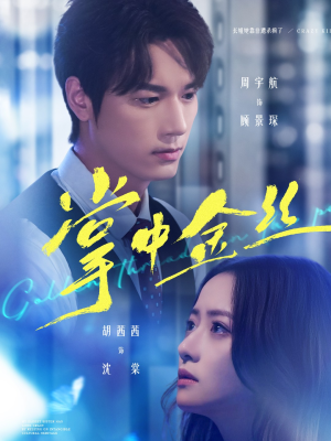 长姐她竟是隐藏大佬（60集）免费观看最新短剧