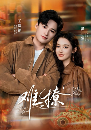 难撩（100集）全剧短剧看到大结局