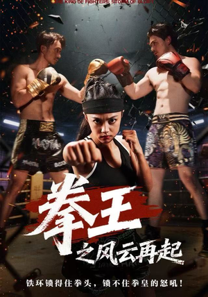 拳王之风云再起（50集）不用花钱看全剧的短剧平台