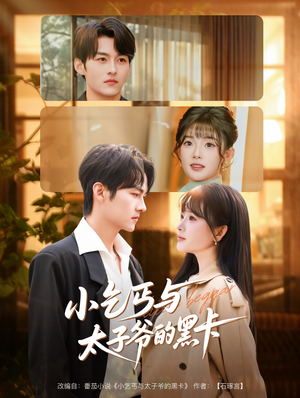 小乞丐与太子爷的黑卡（60集）短剧大结局全集特惠