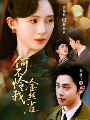 何不怜我金丝雀（60集） 这部短剧让人心动了