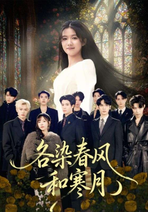 尘埃里的真千金（67集）古装穿越短剧推荐