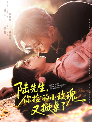 陆先生，你捡的小玫瑰又掀桌了（74集）每天分享不一样的短剧