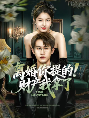 离婚你提的！财产我拿了（63集）短剧有好货推荐