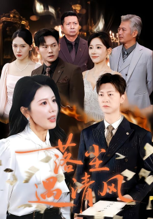 离婚而已（74集）短剧上头又好看