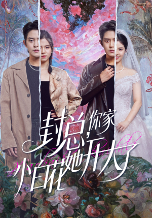 大佬你的牙粘口红了（60集）短剧全剧终在线连看