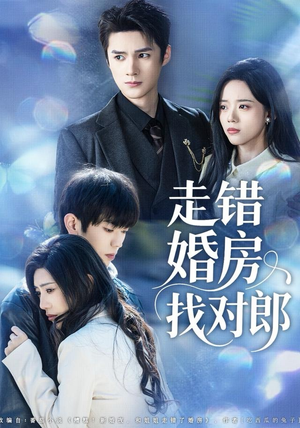 走错婚房找对郎（50集） 热播短剧抢先看大结局