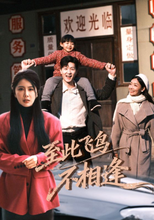 至此飞鸟不相逢（70集）热播短剧持续更新中