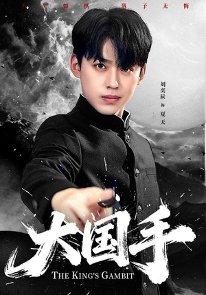 大国手（76集）短剧全集连看不停歇