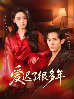 爱迟了很多年（73集）短剧小说在线看