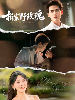 拆家野玫瑰（80集）免费观看完整版短剧