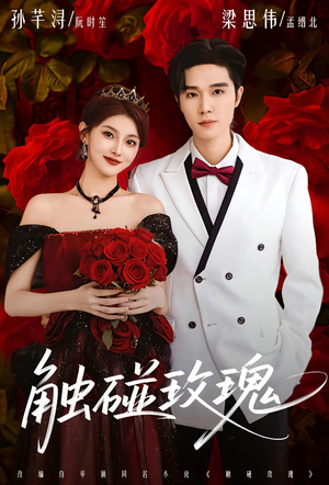 触碰玫瑰（80集）超火热门短剧抢先看