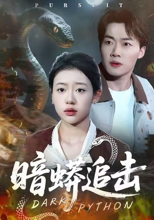 暗蟒追击（35集）短剧全集无删完整版