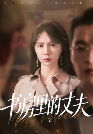 书房里的丈夫（100集）推荐热门短剧下集更精彩