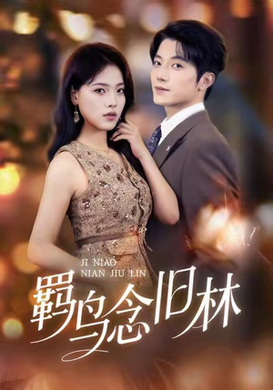 羁鸟念旧林（60集）短剧全集连看不停歇