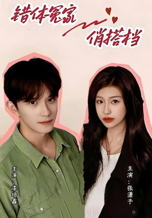 错体冤家俏搭档（60集）短剧全集连看不停歇