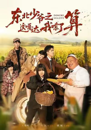 东北少爷之这嘎达我嗦了算（46集）好评如潮的排行榜前十短剧