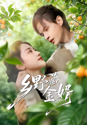 乡野藏金婿（50集）短剧更新抢先看