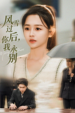 风雪过后你我永别（51集）在线免费看全集短剧