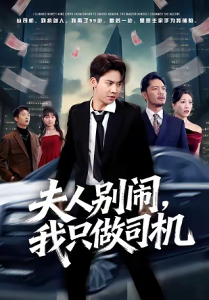 夫人别闹我只做司机（80集）精彩短剧免费看