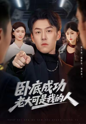 卧底成功老大可是我的人（99集）短剧免费在线看全集