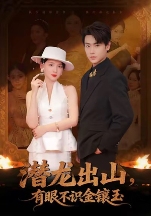 潜龙出山有眼不识金镶玉（78集）精彩短剧天天更新