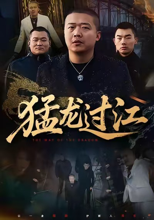 猛龙过江（60集）精彩短剧天天看