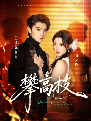 攀高枝（70集）每日短剧追不停