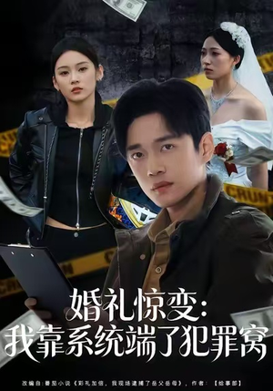婚礼惊变：我靠系统端了犯罪窝（80集）免费观看排行榜前十短剧